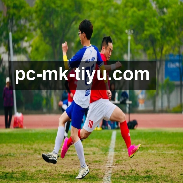 MK体育电脑版使用指南：操作体验解析及核心功能全面介绍