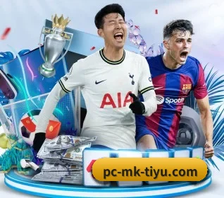 MK体育 APP(MK sports app)