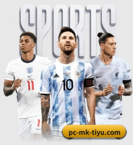 本站五个常用功能入口,赛程查询路径更短 - 多运动项目内容板块（MK sports app）