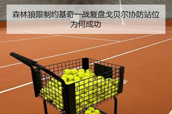 森林狼限制约基奇一战复盘戈贝尔协防站位为何成功 | MK sports app